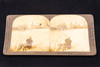 Geo W Griffith 3D Stereo Picture Slide Christmas Snow Yosemite Set of 5 V16