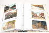 Vintage Postcard Collection in Album 70 Assorted American Cards V22