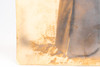 Late 1800s Crayon Enlargement Solar Portrait of African American Woman 16x20