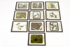 Victor Animatograph Co Magic Lantern Slide Featuring Birds - Lot of 10 V25