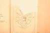 1870s Mounted Albumen Print 8¼ x6¼'' - Portraits of Husband & Wife V23