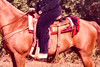 1980s 11x14'' Color Photo - Ashland County Ohio Person on Horse V20
