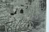 German Post WWI 3 1/2 x 4 1/2" Negative of People Posing on Small Bridge