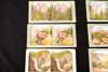 Yosemite National Park Stereoscope Stereo View Card Lot of 10 - 7 x 3½" V23