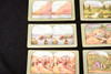 Alaska Stereoscope Stereo View Card Lot of 7 - 7 x 3½" Antique V26