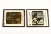 Victor Animatograph Co Magic Lantern Slide Featuring Birds - Lot of 10 V26