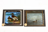Rudolph M. Schiele Magic Lantern Slides Featuring Birds - Lot of 10 V29