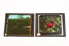 Rudolph M. Schiele Magic Lantern Slides Featuring Birds - Lot of 10 V29