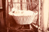 1890s Mounted Albumen Print 8¼x6¼'' - Baby in Wicker Bassinet / Cradle V22