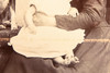 Late 1800s Cabinet Card 4¼x6½'' Albumen Photo - Grandmother Child & Dog V20