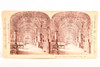 Early 1900s Keystone Stereoview Photo 7x3½" - Vactican City Rome Italy V23