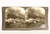 1918 Keystone Stereoview Photo 7x3½" - Dead Horses WWI Bombed Supply Train V28