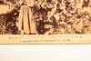 1895 Underwood Stereoview Photo - Cotton is King - Plantation Scene Georgia V20