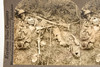 Keystone Stereoview Photo 7x3½" - WWI Human Wreckage in No Man's Land V24