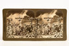 Early 1900s Stereoview 7x3½" - Crucifixion of Jesus From Passion Play V22
