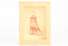 1880s Mounted Albumen Print 7¼x10'' - Standing Portrait of Victorian Woman V28