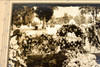 1920s Silver Gelatin Print 12¾x11½'' - Funeral Flowers in Cardboard Frame V29