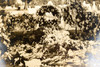 1920s Silver Gelatin Print 12¾x11½'' - Funeral Flowers in Cardboard Frame V29