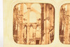 Fountains Abbey Ruins - 1860s French Tissue Stereo View Card - 6¾x3¼" V24