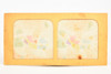 3 Young Victorian Girls - 1860s French Tissue Stereo View Card - 6⅝x3¼" V22