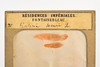 Galerie Henri IV Fontainebleau - 1860 French Tissue Stereo View Card - 6¾x3¼ V22