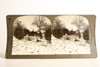 Keystone Stereoview Photo - AN12 Zeta Unit - The Last Snowfall (1) V25