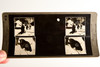 Keystone Stereoview Photo - AN36 Zeta Unit - Alaska and Black Bear V23