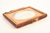 Daguerreotype Photo White Haired Victorian Gentleman in 1/6 Plate Case V29