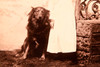 1890s Cabinet Card 4¼x6½'' Albumen Photo Child in White Gown Posing with Dog V23