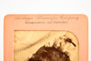 1900 Tissue Stereoview Albumen Photo 7x3½" - Tired of Play - Child & Dog V28