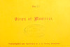 Victoria Square Montreal Canada Stereoview Photo Card By J.G. Parks 1880s V25
