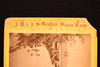 Mammoth Stereoview Bridge F Prospect Park Brooklyn by E. & H.T. Anthony1870s V24