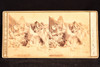 Mer de Glace aux Drus French Alps Glacier Stereoview Photo Card 1875-1885 V20
