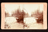 Niagara Falls 3 Sister Islands Mammoth Stereoview Photo People Bridge 1880s V28