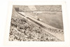 1932 Press Photo Summer Olympics 10x8" Opening Ceremony Los Angeles V22