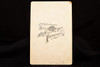 Late 1800s Cabinet Card - UNCANNY Maisie Williams / Arya Stark Lookalike V25