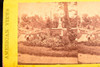 Stereoview Photo Mt Auburn Cemetery American Views Standard Series 7 × 3½" V24