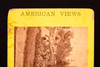 Stereoview Photo Mt Auburn Cemetery American Views Standard Series 7 × 3½" V24