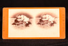 Stereoview Photo P.F. Weiler The Companions Vicorian Child With Dog 7×3½" V22