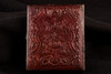 Daguerreotype Photo 1/6 Plate Stern Bonneted Lady Seated with Books Full Case