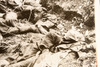1934 Press Photo German Casualties from WWI Battle of Mons 10x8" V29
