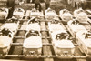 Texas City Disaster Mass Burial of 63 Unknown Victims 1947 AP Wirephoto V32