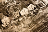 Sharon PA Tornado Damage Aerial View 1947 AP Wirephoto Press Photo V35
