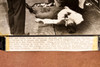 1947 Vincent Wice Slain by Machine Gun NYC AP Wire Photo V39