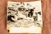 1947 Sacramento CA Auto Truck Crash Rescue Fatal Accident AP Wire Photo V38
