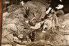 Texas City Disaster Temporary Morgue Last Rites Victims 1947 AP Wire Photo V33