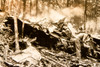 1947 AP Wire Photo Eastern Air Lines Crash Wreckage Search Port Deposit MD V35