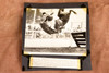 Showhorse Churchill Fatal Hurdle Fall Melbourne Australia 1947 AP Wire Photo V32