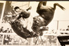 Showhorse Churchill Fatal Hurdle Fall Melbourne Australia 1947 AP Wire Photo V32