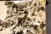 Castle Rock CO C-47 Army Transport Plane Crash Wreckage 1947 AP Wire Photo V33